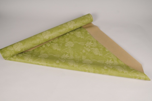 Rouleau de papier kraft blanc / vert pomme 0,8x50m