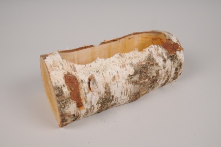 Jardinière bûche en bois 14cm x 30cm H11cm