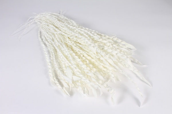 Fibre de palmier blanche L63cm