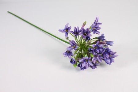 Agapanthe artificielle violette H77cm