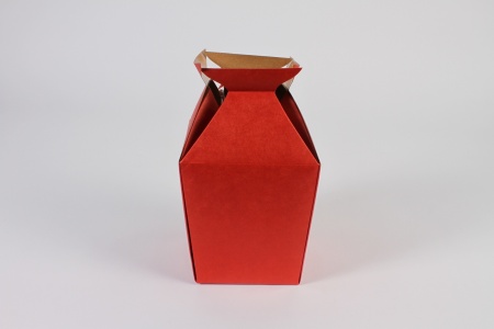 Paquet de 10 vases porte-bouquet rouge 11x11cm H17.5cm