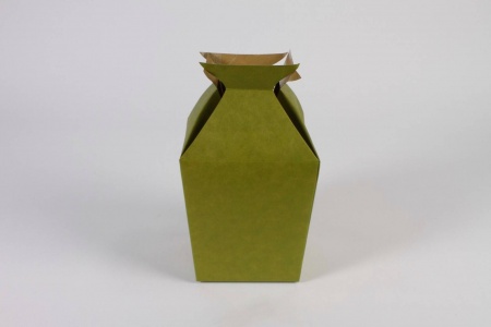 Paquet de 10 vases porte-bouquet vert 11x11cm H17.5cm