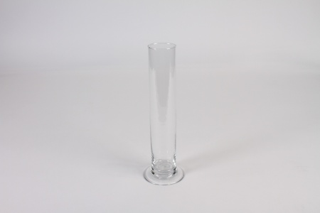 Vase soliflore en verre transparent D8cm H25cm