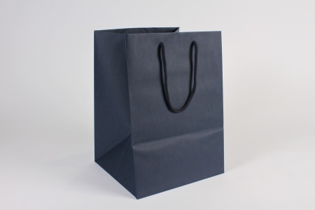 Paquet de 12 sacs kraft bleu 25x24cm H35cm