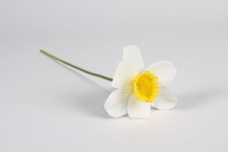 Narcisse artificiel blanc H40cm