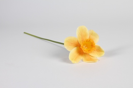 Narcisse artificiel jaune orange H40cm