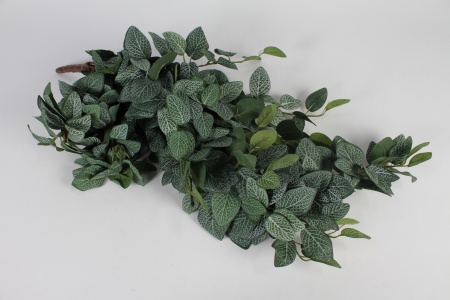 SUSP PILEA VERT 70CM