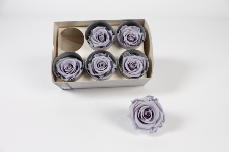 Boîte de 6 roses stabilisées gris mauve