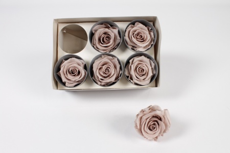 Boîte de 6 roses stabilisées marron noisette