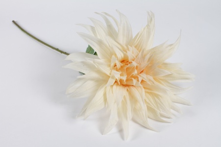 Dahlia xxl artificiel crème H78cm