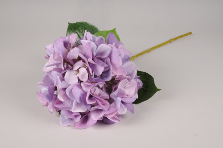 Hortensia lavande H69 cm