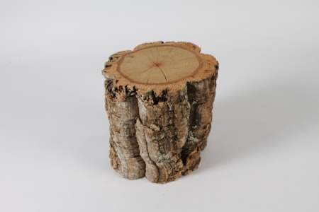 Morceau de tronc de liège naturel D20cm H20cm