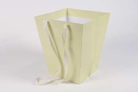 Paquet de 10 sacs en carton crème 25x25cm H29cm