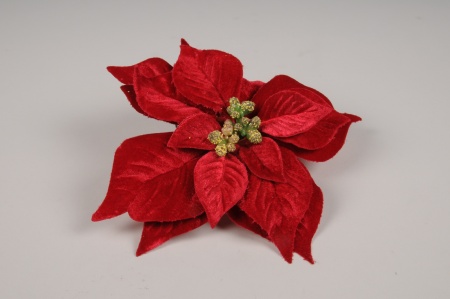 Pic poinsettia velours rouge D20 cm