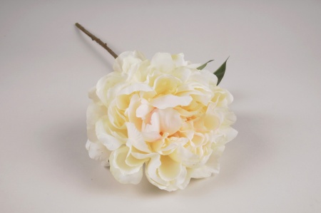 Pivoine artificielle blanc crème H56cm