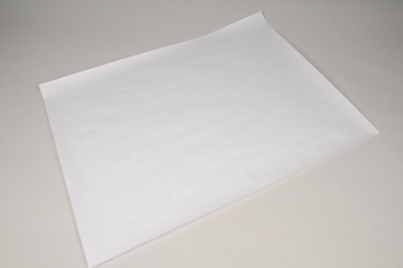 Rame 10kg de feuille papier 110g kraft blanc 65x100cm